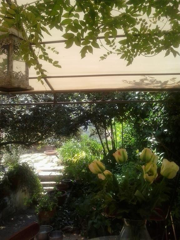 Апартаменты Il Cenacolo Di Sissi Кампаньяно-ди-Рома Экстерьер фото